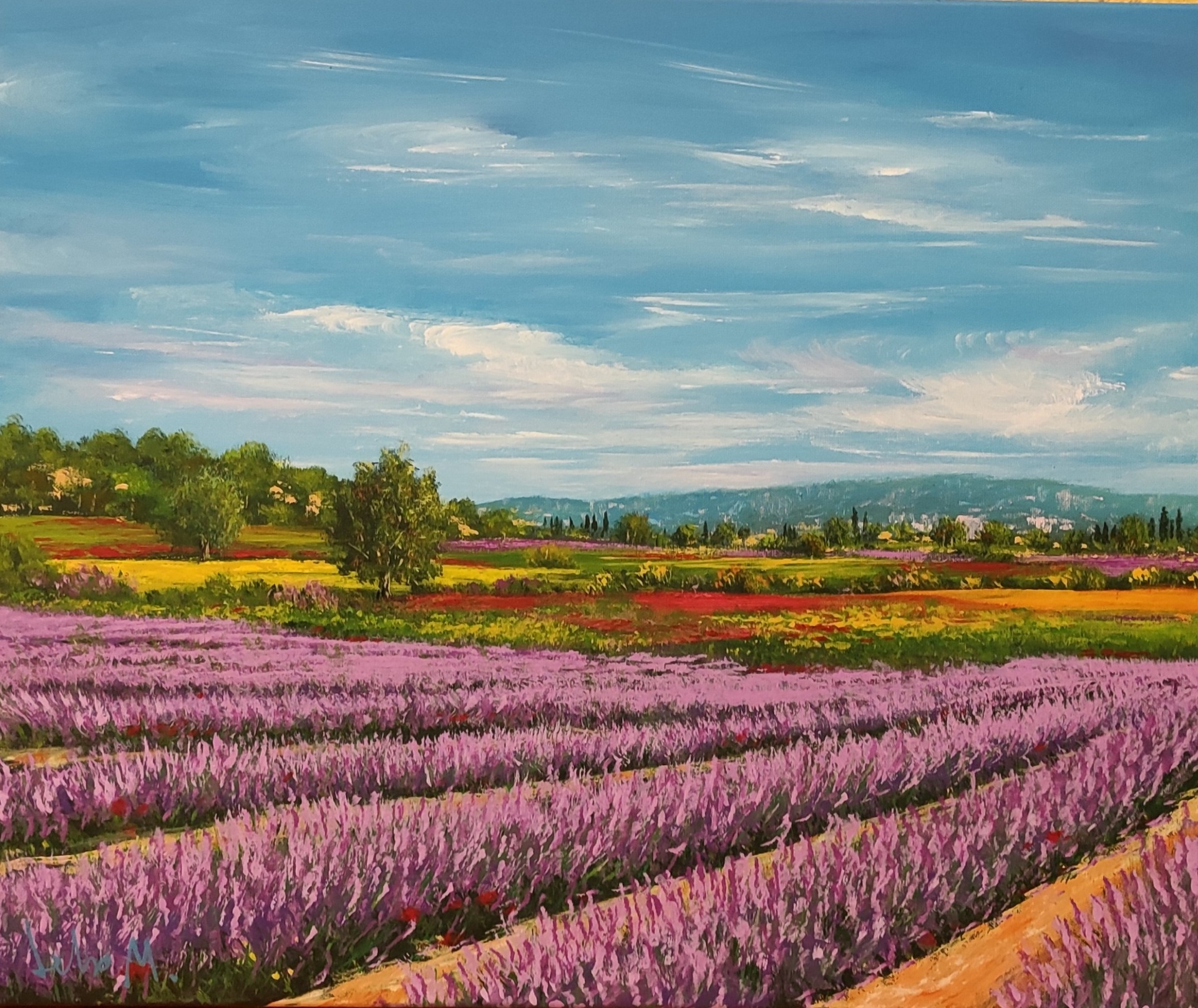 Campi di lavanda (60x50)