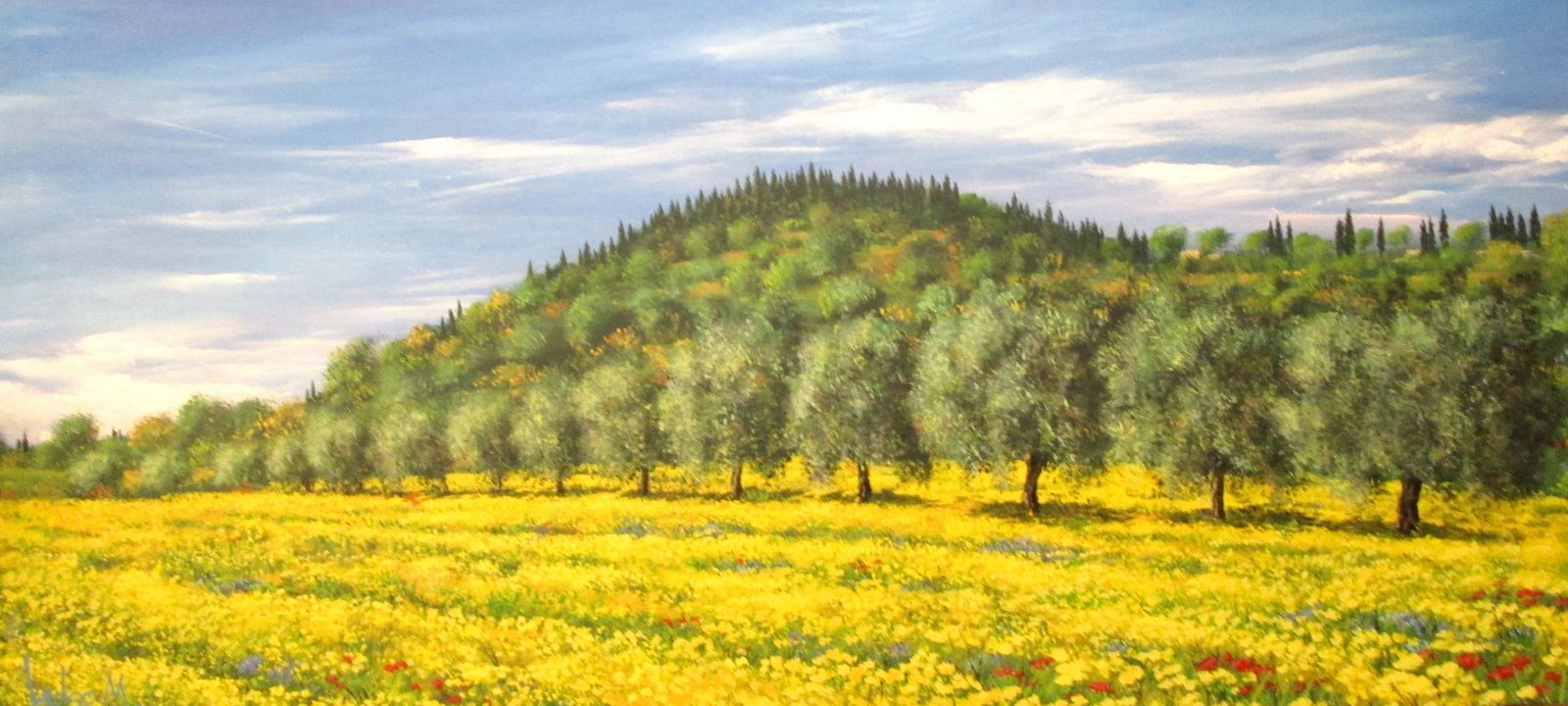 Fila di ulivi in un mare giallo (130x60)