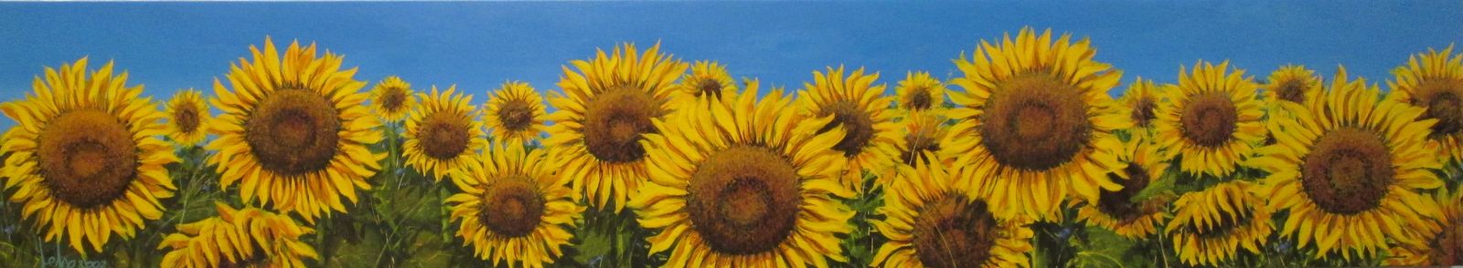 Girasoli nel cielo blu (190x35)