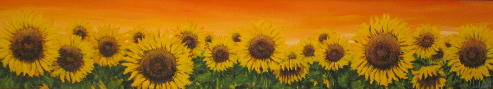 Fila di girasoli al tramonto (190x35)