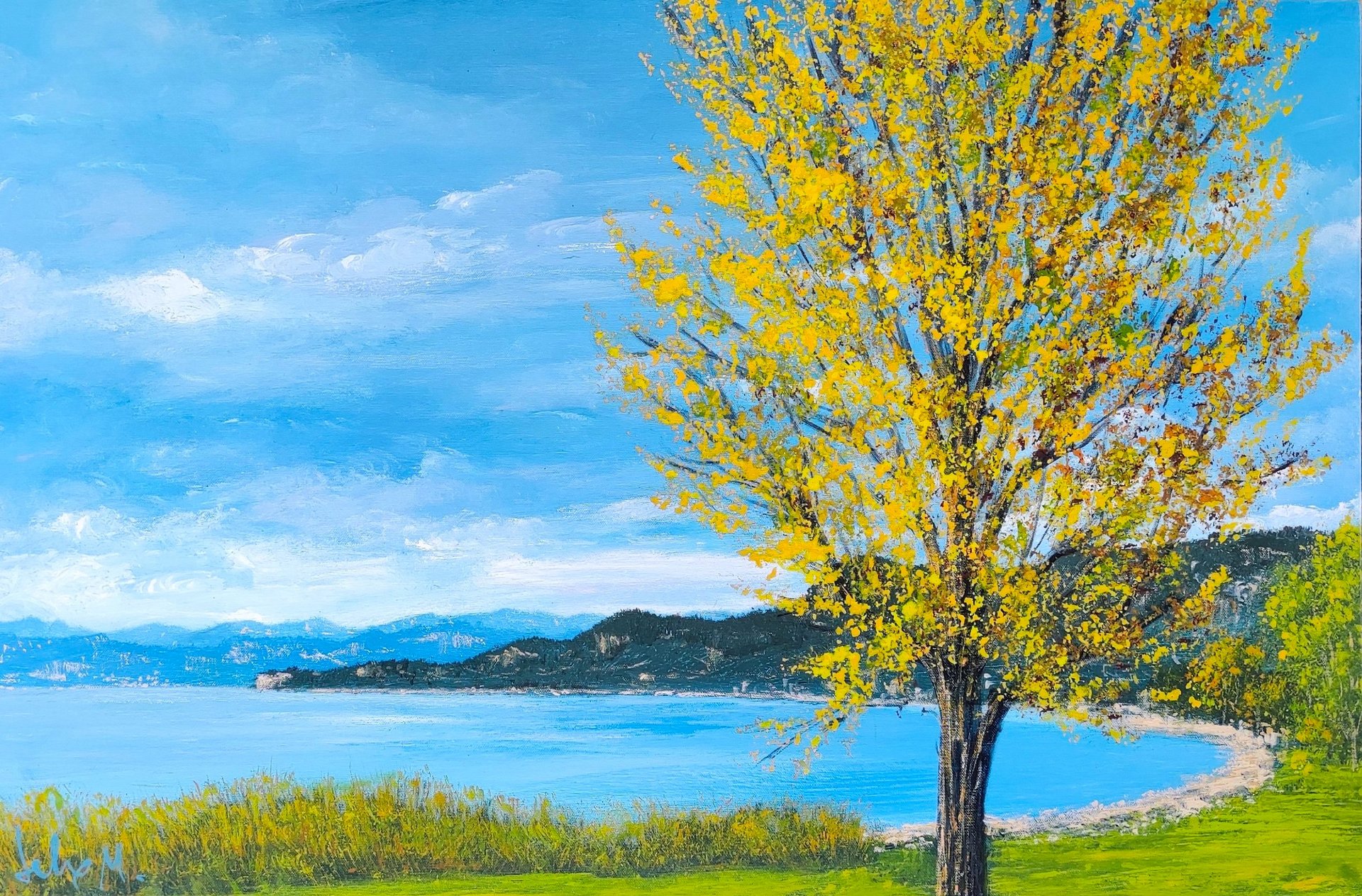 T-Fusion (70x100)